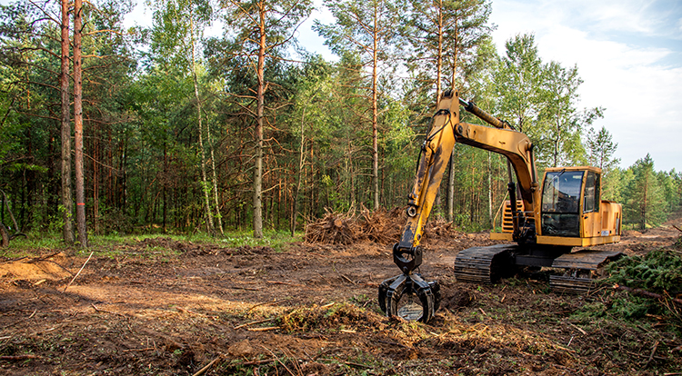 Professional Land Clearing Services