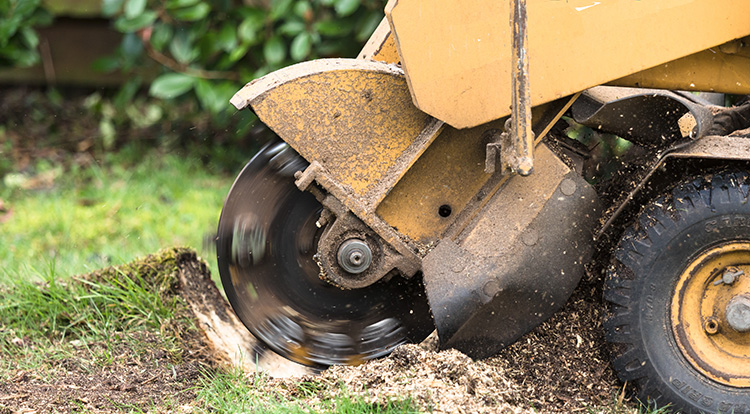 Stump Grinding Service