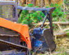 The Process of Forest Mulching: A Step-by-Step Guide