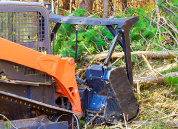 The Process of Forest Mulching: A Step-by-Step Guide