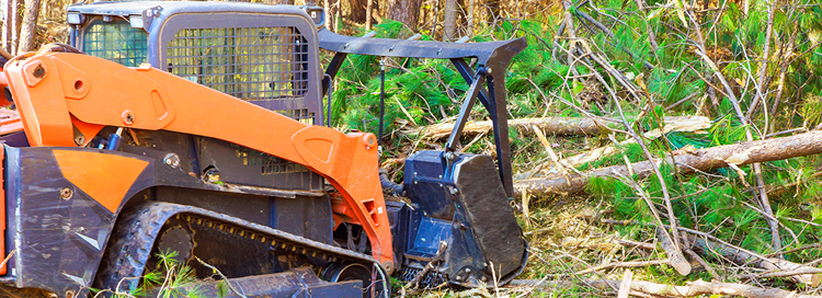 The Process of Forest Mulching: A Step-by-Step Guide