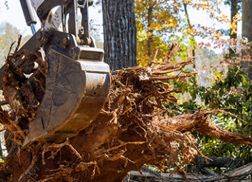 The Importance of Professional Land Clearing for Property Development