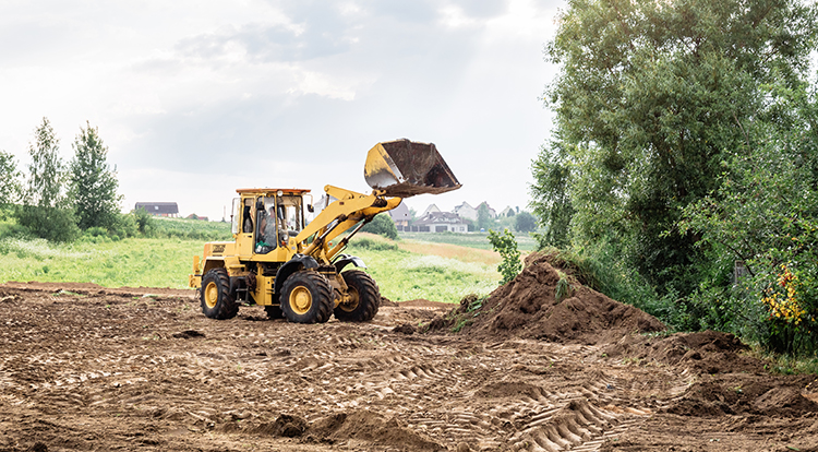 Professional Land Clearing