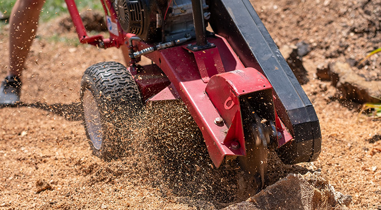 Toronto Stump Grinding